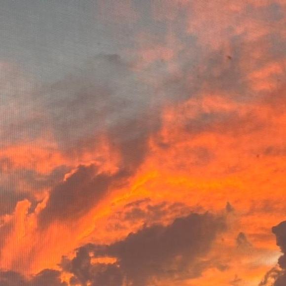 Meet the Posher Other - Meet your Posher, Melanie